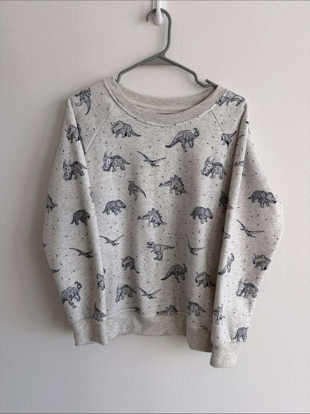 Light Gray Crewneck Sweater with Navy Dinosaur Print